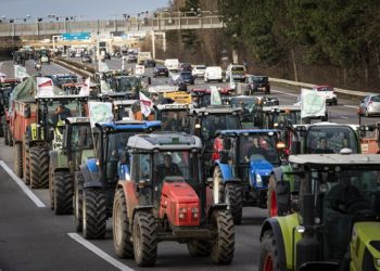 Farmers are participating in a protest by blocking the A35 highway in Strasbourg, Eastern France, on January 24, 2024. (Photo by STR/NurPhoto via Getty Images)